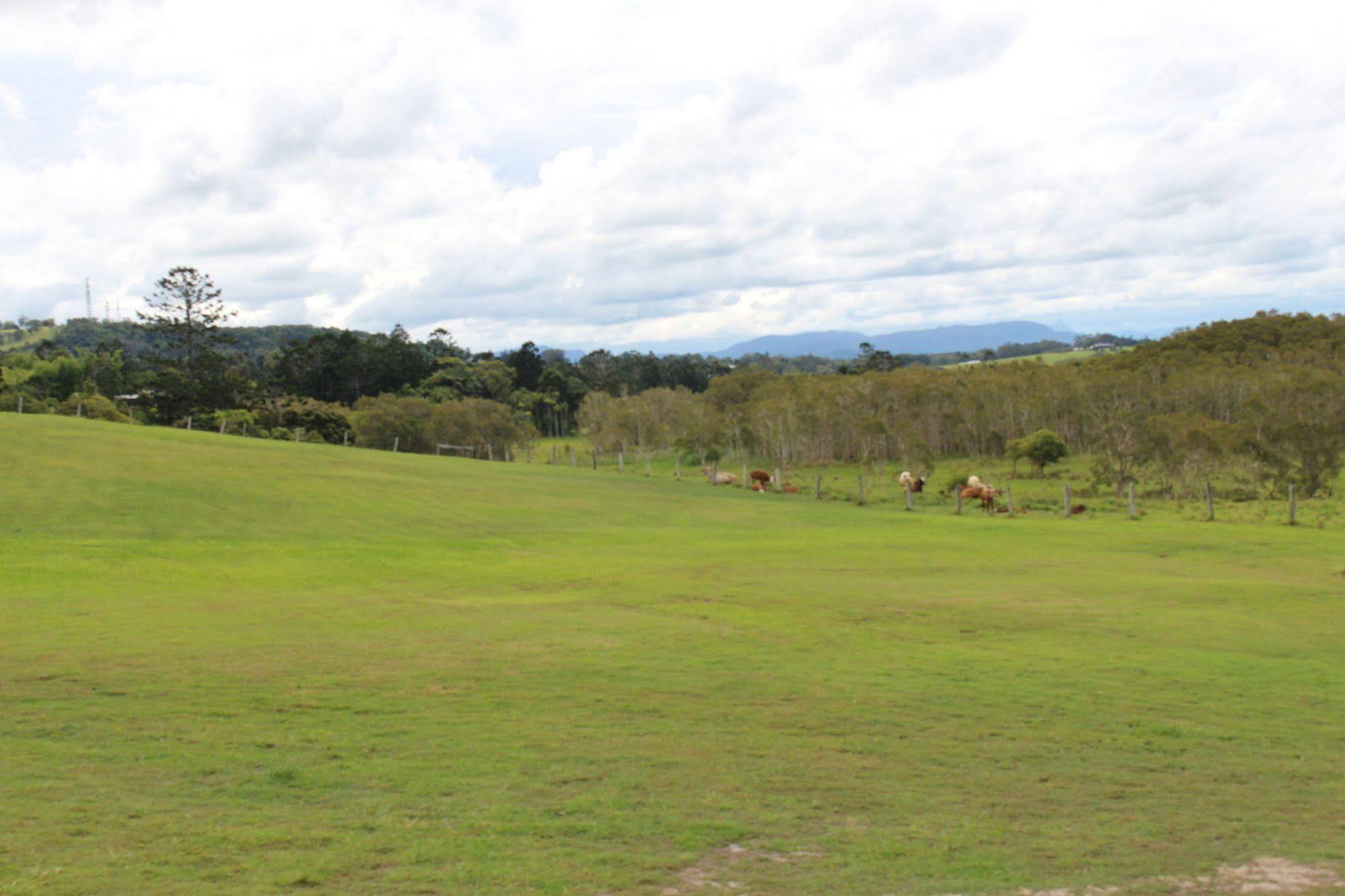 Cape Byron Retreat (Adults Only) Villa Byron Bay Exterior photo